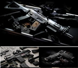 Armas e Munição em Manaus