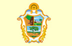 Bandeira de cidade Manaus
