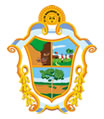 Brasão de cidade Manaus