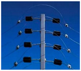 Cercas Elétricas em Manaus