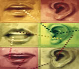 Fonoaudiologia em Manaus