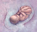 Obstetras e Obstetrícia em Manaus