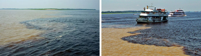 Passeio Encontro das Águas Manaus