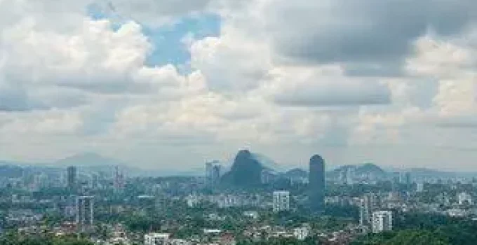 Bolsa de Carbono Verde