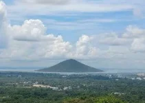 Sine Manaus Vagas de Emprego