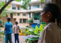 inscrições em creches