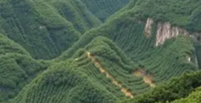 concursos amazonas
