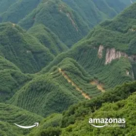 concursos amazonas