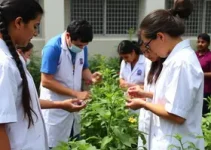 Programa de Iniciação Científica