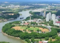 Sine Manaus