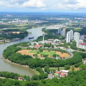 Sine Manaus