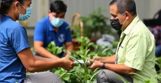 Procon Manaus