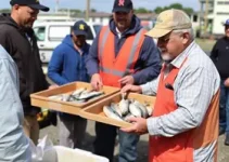 distribuição de peixes