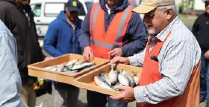 distribuição de peixes