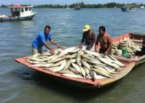 Prefeitura de Manaus entrega pescado