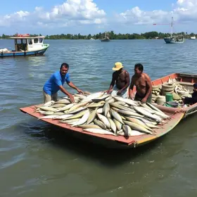 Prefeitura de Manaus entrega pescado