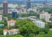 arborização em Manaus