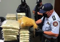 interceptação de skunk em Manaus