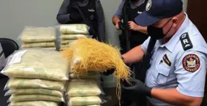 interceptação de skunk em Manaus