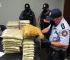 interceptação de skunk em Manaus