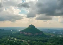 Manaus saúde