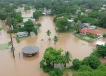 Defesa Civil Manaus