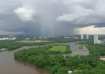previsão do tempo em Manaus (AM)