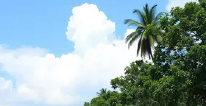 concurso público da Manaus Previdência