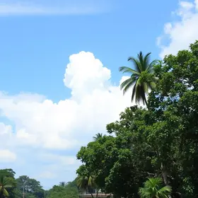 concurso público da Manaus Previdência