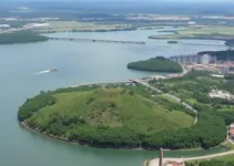 Sine Manaus