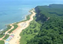 Sine Manaus
