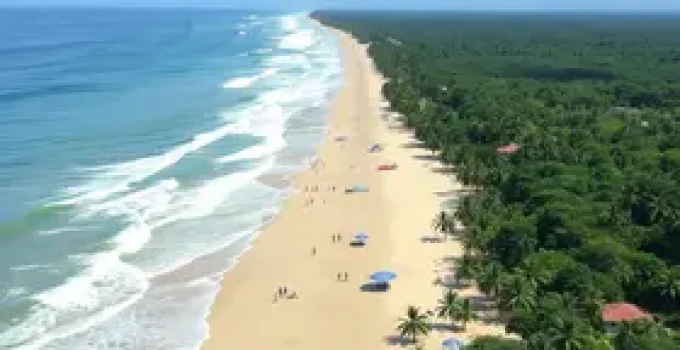 vagas de emprego Sine Manaus