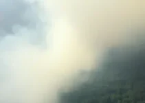 queimadas em Manaus