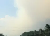 fumaça das queimadas