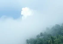 ar de Manaus