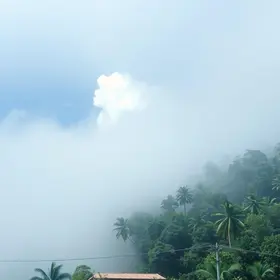 ar de Manaus