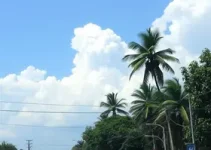 onda de calor