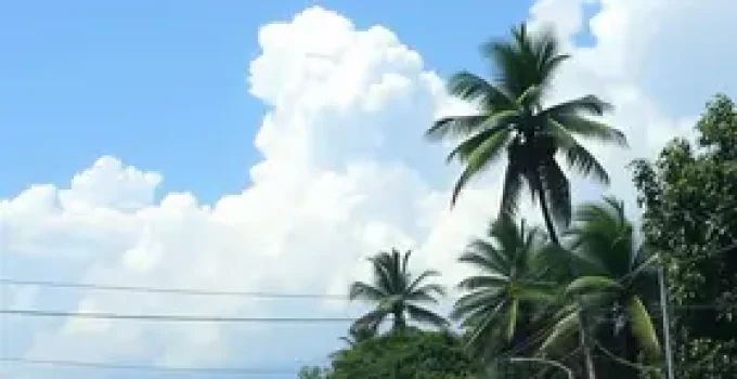 onda de calor