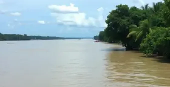 nível do Rio Negro
