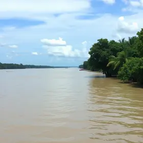 nível do Rio Negro