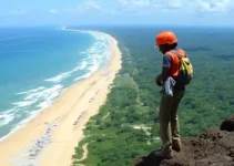 Sine Manaus vagas de emprego