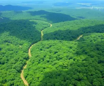 desmatamento em áreas protegidas