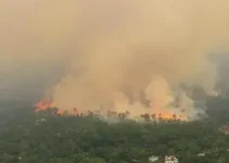queimadas no Amazonas