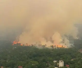queimadas no Amazonas