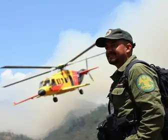 combate às queimadas