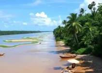 Plano de Turismo de Manaus