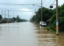 notificação Águas de Manaus