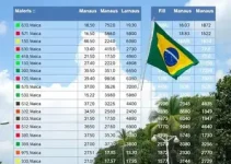 resultado das eleições 2026 em Manaus