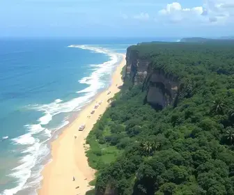 Sine Manaus